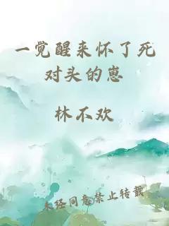 一觉醒来怀了死对头的崽